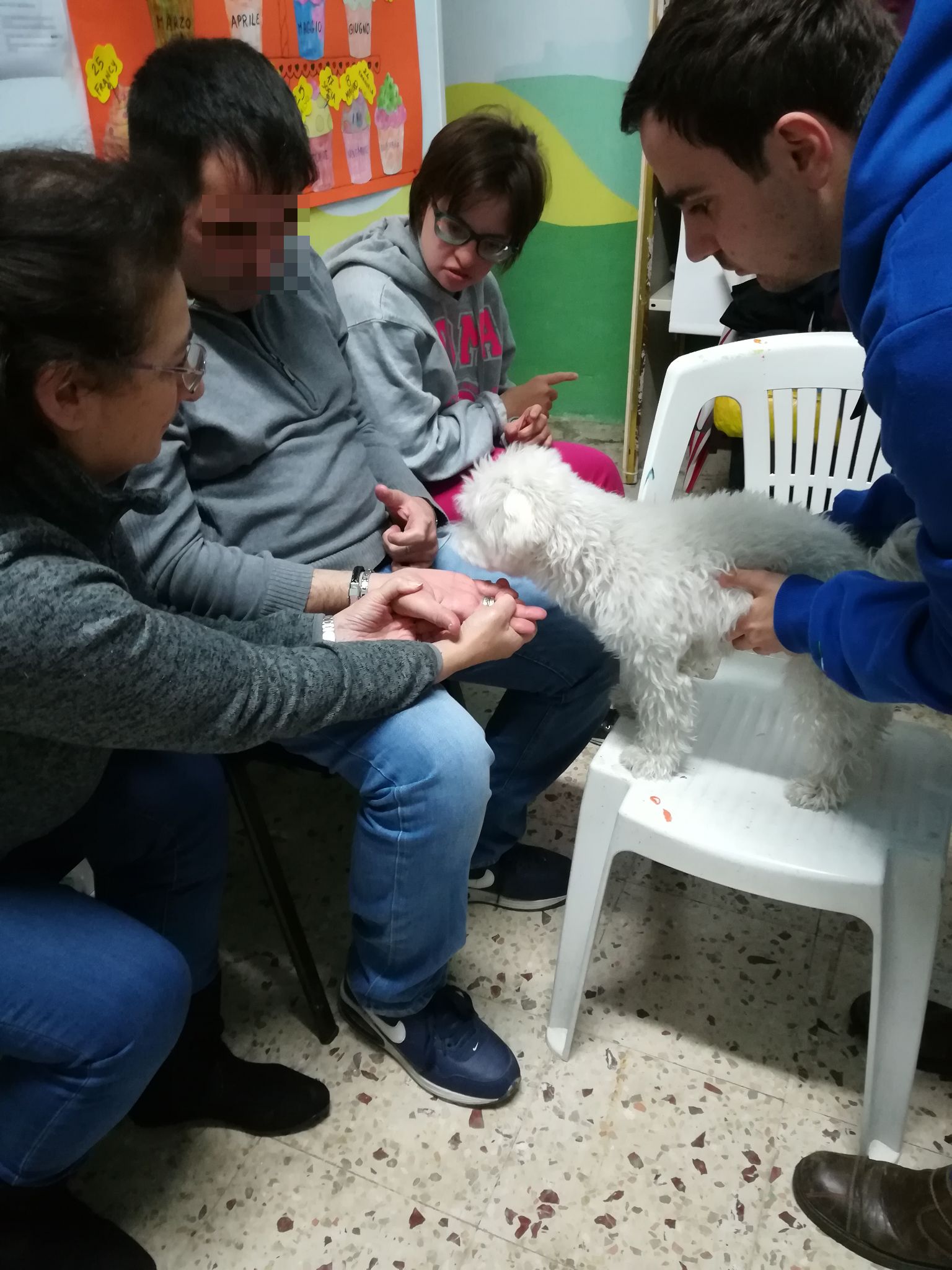 Pet therapy Palermo